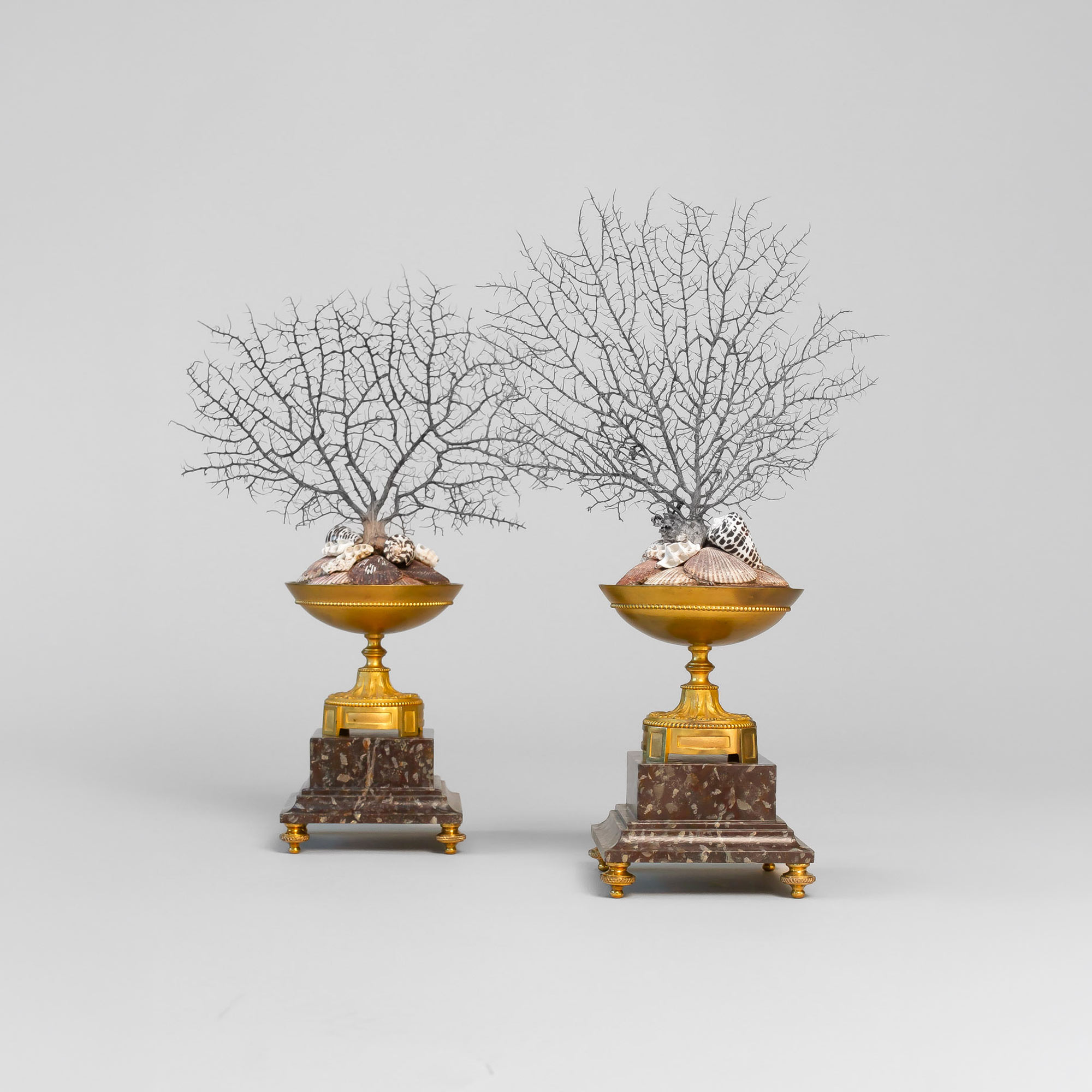 Paar Empireschalen mit Seefaecher